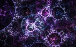 2014 04 26 Evening Plastic 991-black.jpg